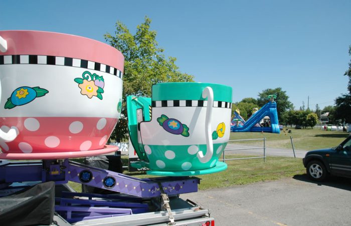 Chesterville Fair Tea Cups