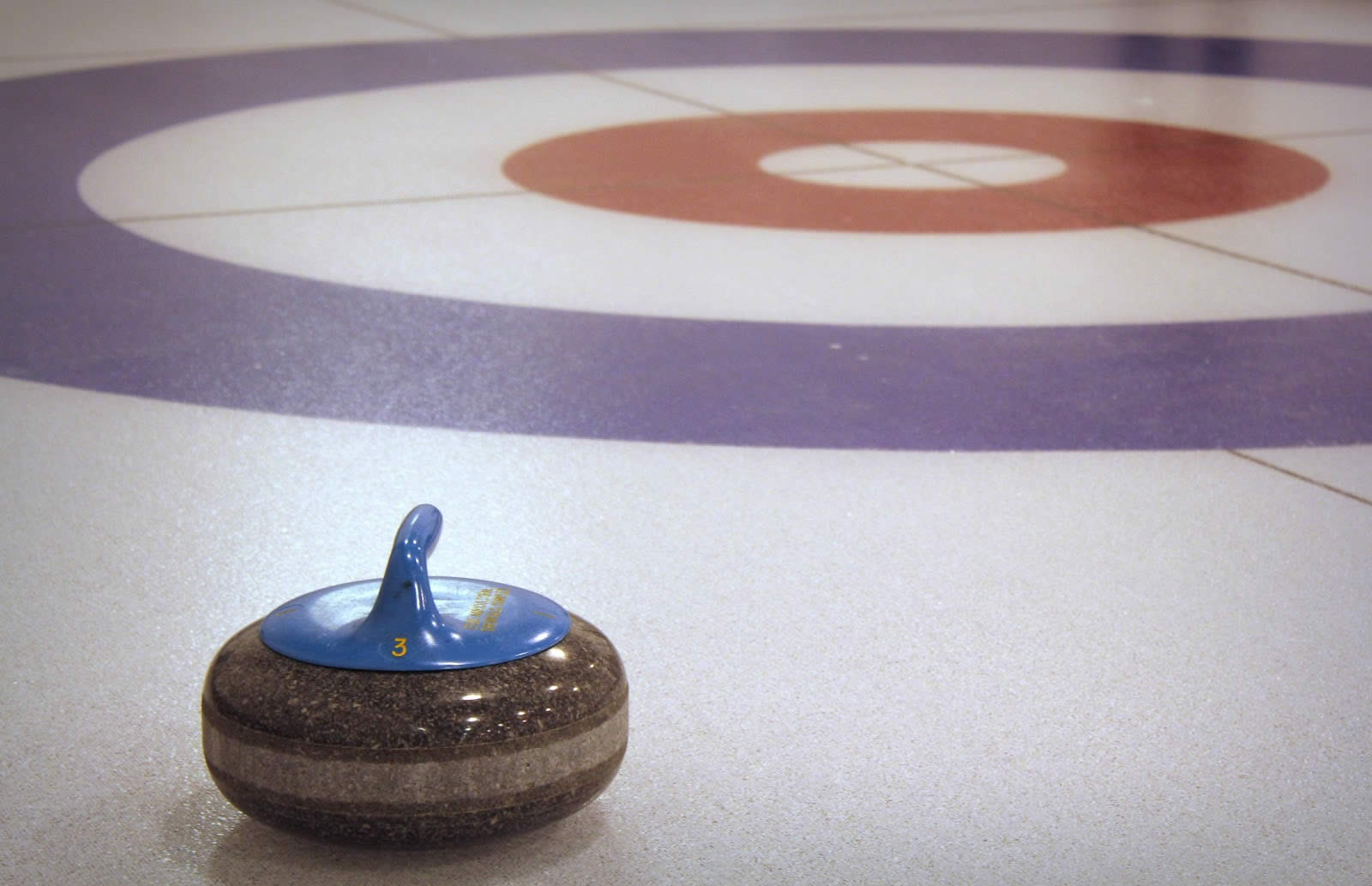 Generic Curling Rock