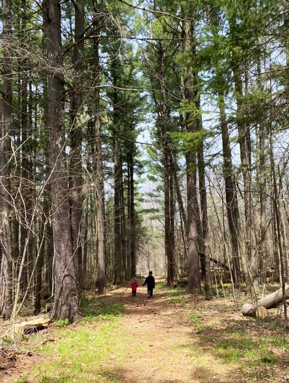 Guindon Park nature trails