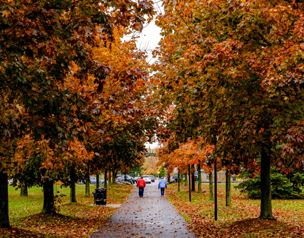 Lamoureux Park