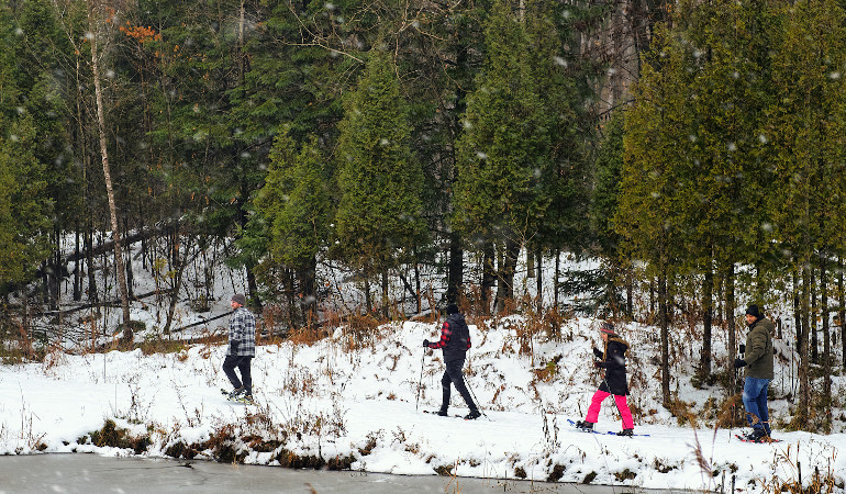 Snowshoe