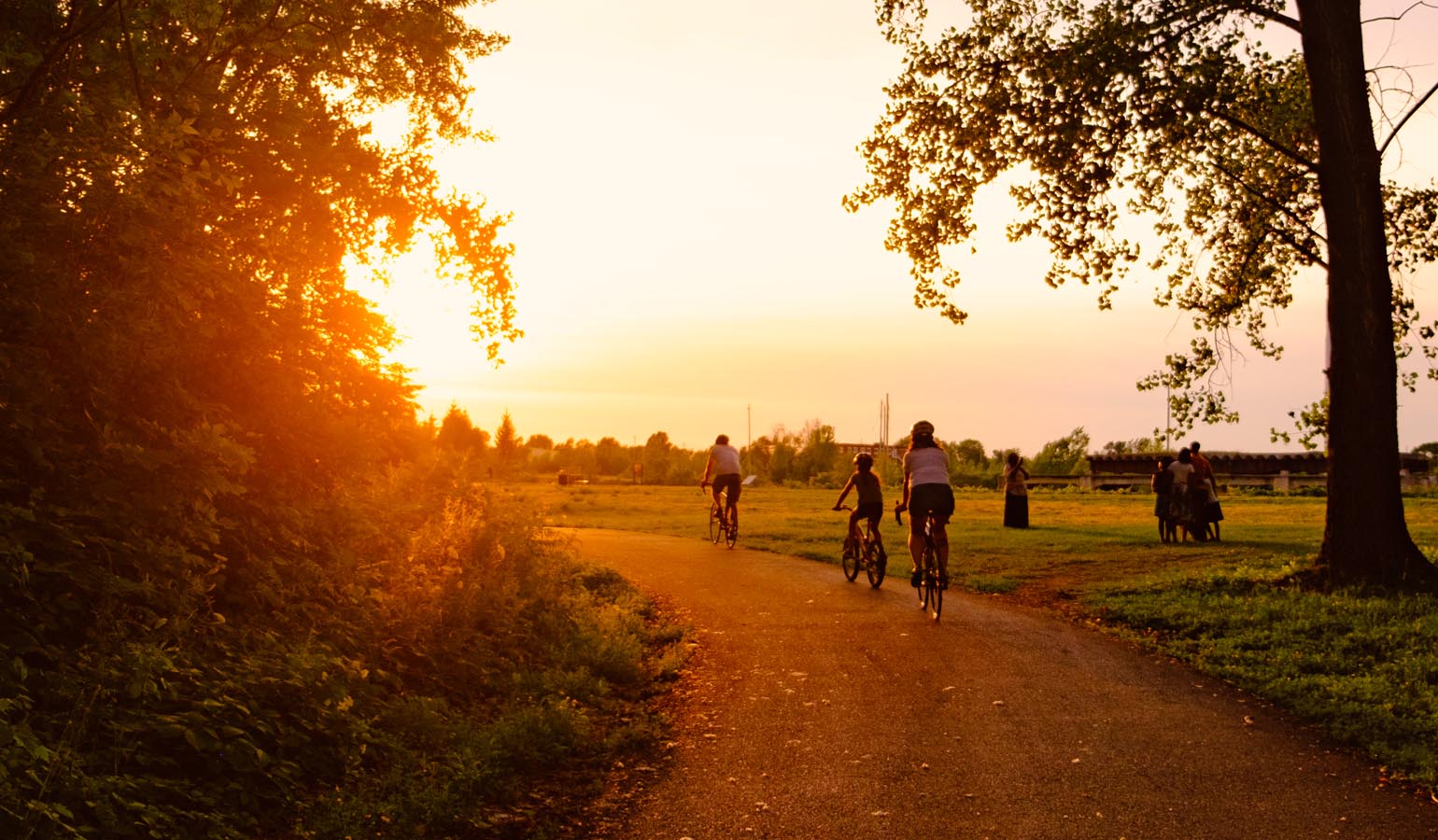 Offroad cycling trails created at Guindon Park Cornwall Tourism