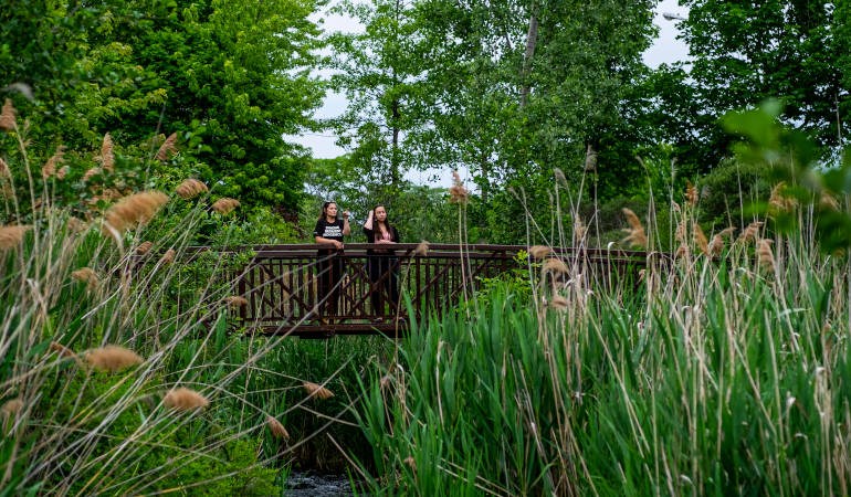 Jardins écologiques du Rotary club 