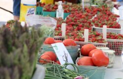 Cornwall Waterfront Farmers Market