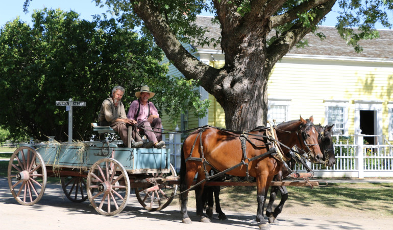 Horse Lovers' Weekend