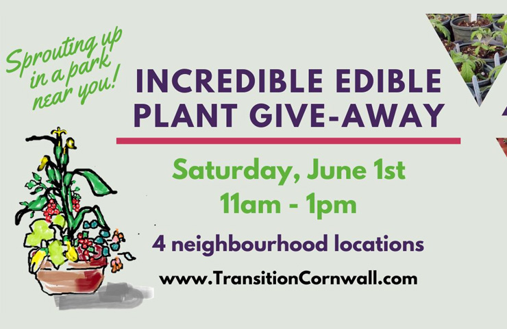 Incredible Edible Plant Give-Away